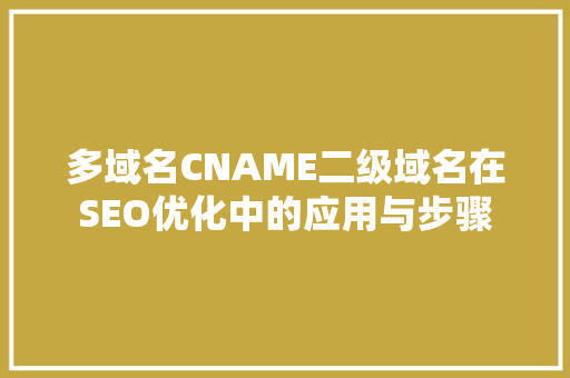 多域名CNAME二级域名在SEO优化中的应用与步骤