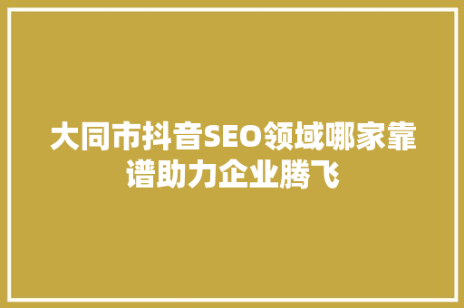 大同市抖音SEO领域哪家靠谱助力企业腾飞