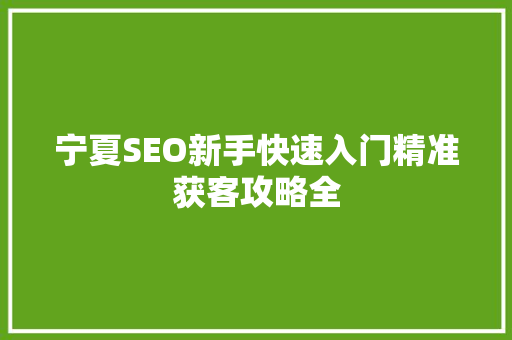 宁夏SEO新手快速入门精准获客攻略全
