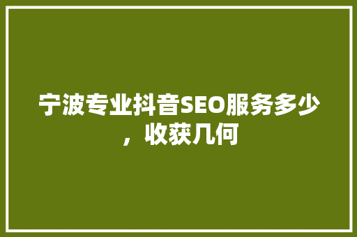 宁波专业抖音SEO服务多少，收获几何