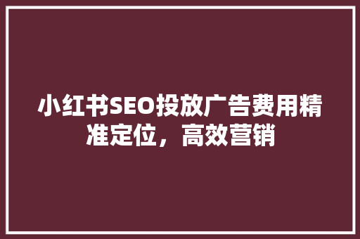 小红书SEO投放广告费用精准定位，高效营销