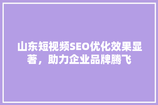 山东短视频SEO优化效果显著，助力企业品牌腾飞