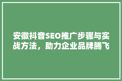安徽抖音SEO推广步骤与实战方法，助力企业品牌腾飞