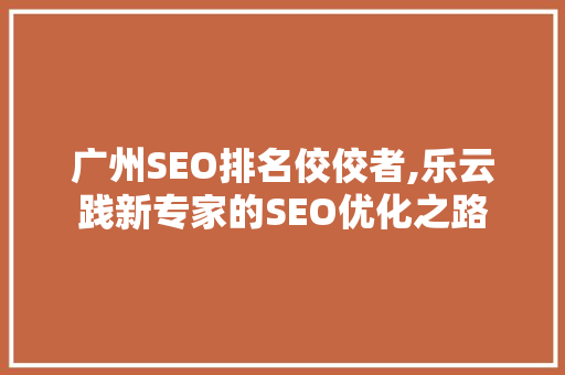 广州SEO排名佼佼者,乐云践新专家的SEO优化之路