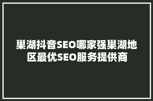 巢湖抖音SEO哪家强巢湖地区最优SEO服务提供商
