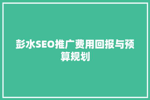 彭水SEO推广费用回报与预算规划
