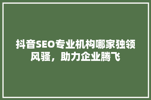 抖音SEO专业机构哪家独领风骚，助力企业腾飞