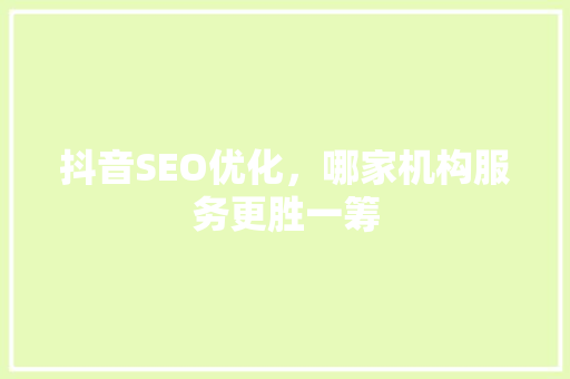 抖音SEO优化，哪家机构服务更胜一筹