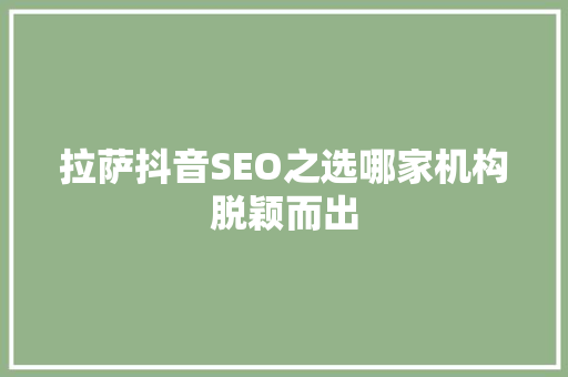 拉萨抖音SEO之选哪家机构脱颖而出