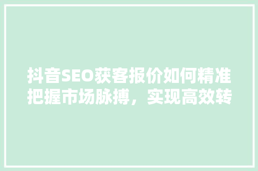 抖音SEO获客报价如何精准把握市场脉搏，实现高效转化