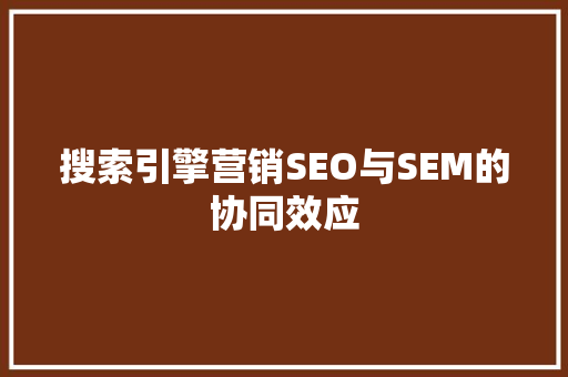 搜索引擎营销SEO与SEM的协同效应