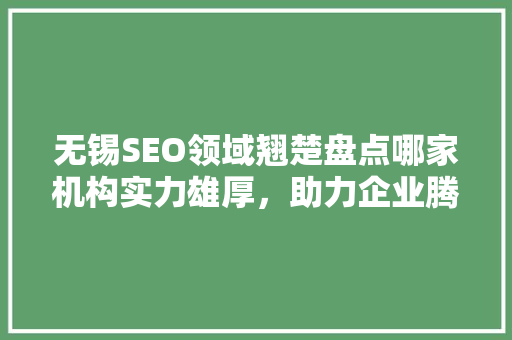 无锡SEO领域翘楚盘点哪家机构实力雄厚，助力企业腾飞