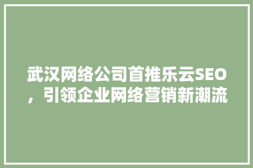 武汉网络公司首推乐云SEO，引领企业网络营销新潮流