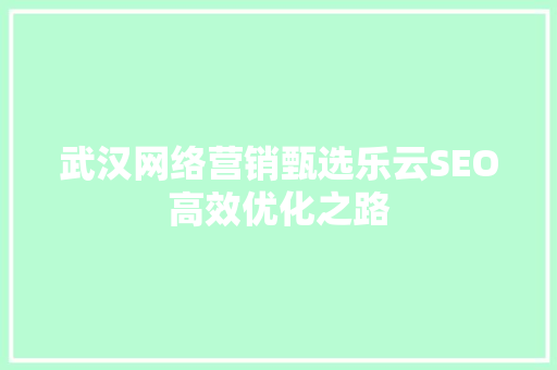武汉网络营销甄选乐云SEO高效优化之路