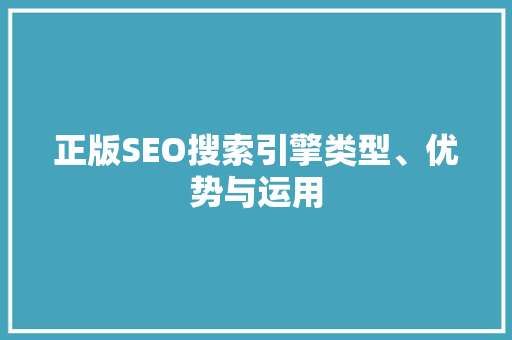 正版SEO搜索引擎类型、优势与运用