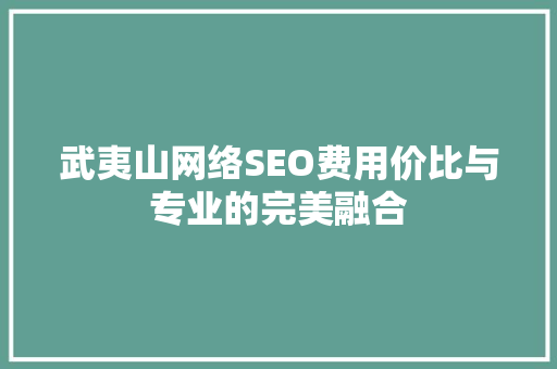 武夷山网络SEO费用价比与专业的完美融合