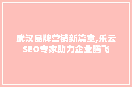 武汉品牌营销新篇章,乐云SEO专家助力企业腾飞