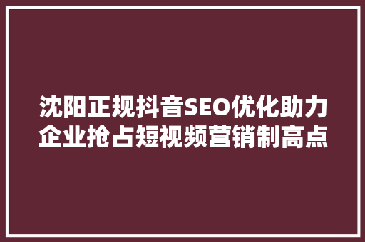 沈阳正规抖音SEO优化助力企业抢占短视频营销制高点