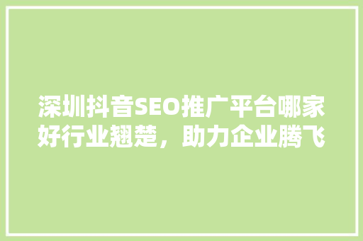 深圳抖音SEO推广平台哪家好行业翘楚，助力企业腾飞