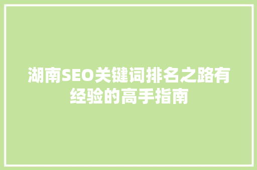 湖南SEO关键词排名之路有经验的高手指南