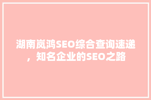 湖南岚鸿SEO综合查询速递，知名企业的SEO之路
