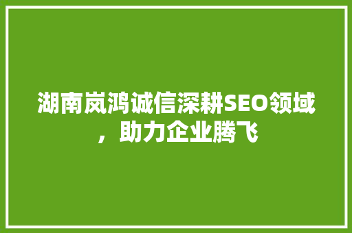 湖南岚鸿诚信深耕SEO领域，助力企业腾飞
