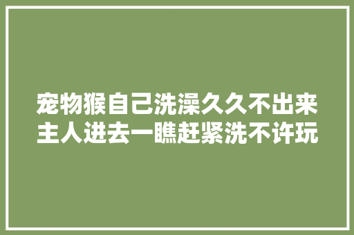 宠物猴自己洗澡久久不出来主人进去一瞧赶紧洗不许玩手机