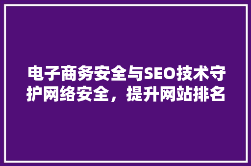 电子商务安全与SEO技术守护网络安全，提升网站排名