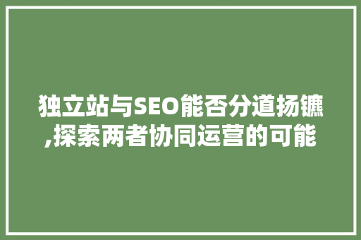 独立站与SEO能否分道扬镳,探索两者协同运营的可能