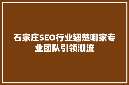 石家庄SEO行业翘楚哪家专业团队引领潮流