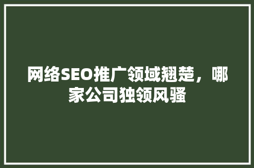 网络SEO推广领域翘楚，哪家公司独领风骚