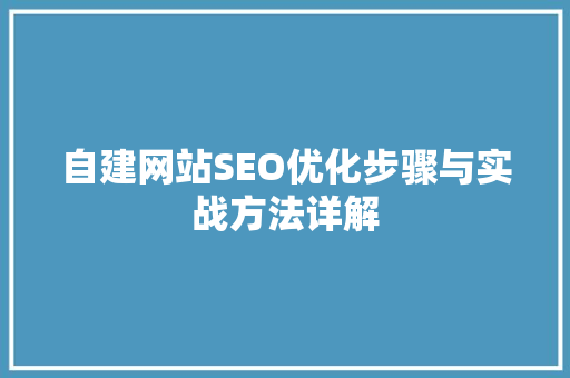 自建网站SEO优化步骤与实战方法详解
