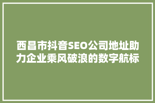 西昌市抖音SEO公司地址助力企业乘风破浪的数字航标