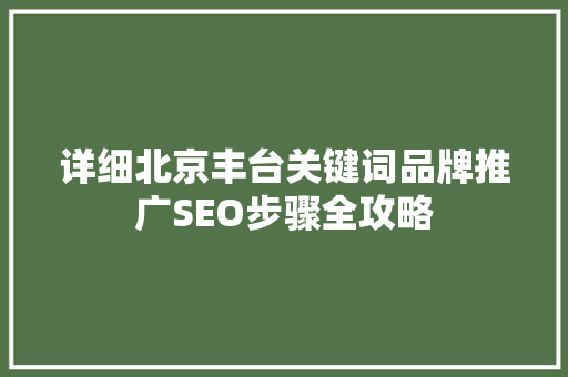 详细北京丰台关键词品牌推广SEO步骤全攻略