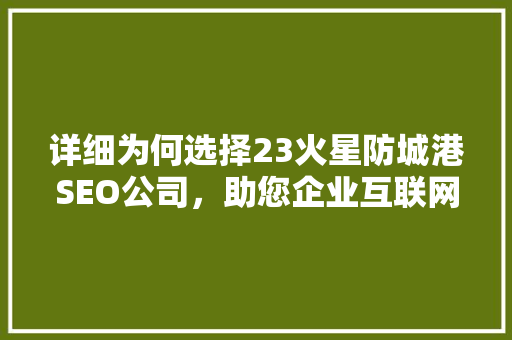详细为何选择23火星防城港SEO公司，助您企业互联网营销一臂之力