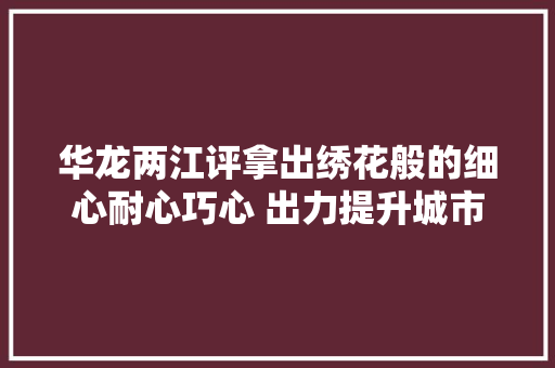 华龙两江评拿出绣花般的细心耐心巧心 出力提升城市治理水平
