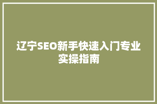 辽宁SEO新手快速入门专业实操指南