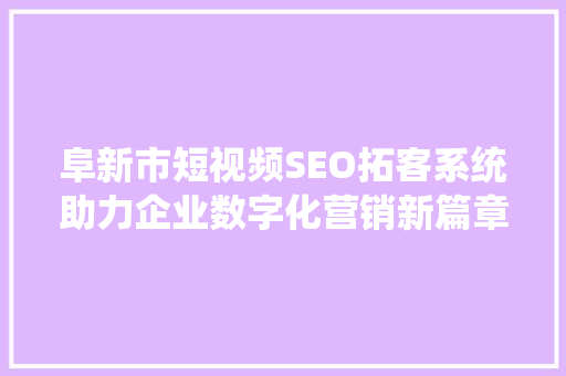阜新市短视频SEO拓客系统助力企业数字化营销新篇章