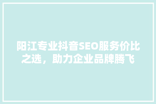 阳江专业抖音SEO服务价比之选，助力企业品牌腾飞