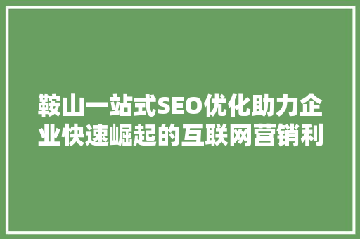 鞍山一站式SEO优化助力企业快速崛起的互联网营销利器