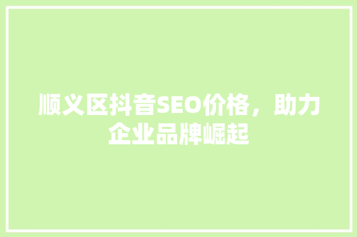 顺义区抖音SEO价格，助力企业品牌崛起