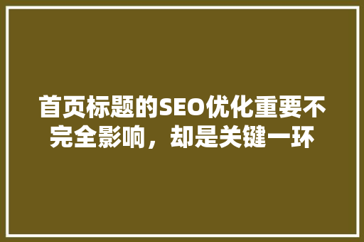 首页标题的SEO优化重要不完全影响，却是关键一环