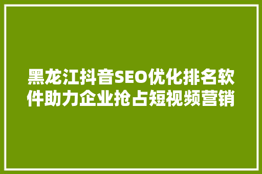 黑龙江抖音SEO优化排名软件助力企业抢占短视频营销高地