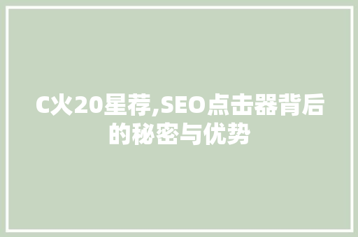 C火20星荐,SEO点击器背后的秘密与优势