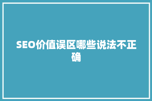 SEO价值误区哪些说法不正确