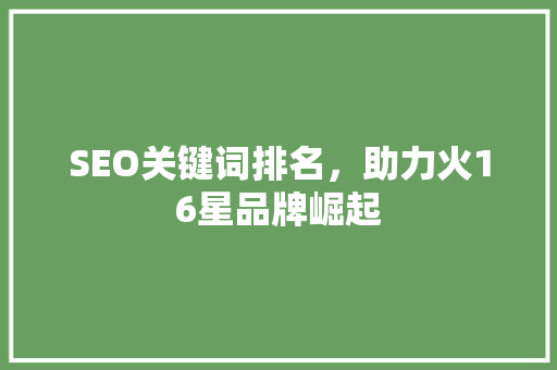 SEO关键词排名，助力火16星品牌崛起