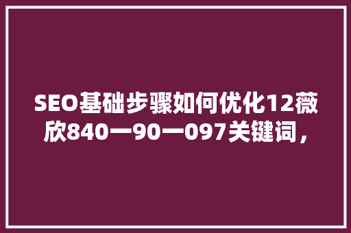 SEO基础步骤如何优化12薇欣840一90一097关键词，提升网站排名
