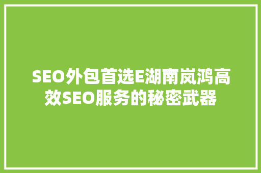SEO外包首选E湖南岚鸿高效SEO服务的秘密武器
