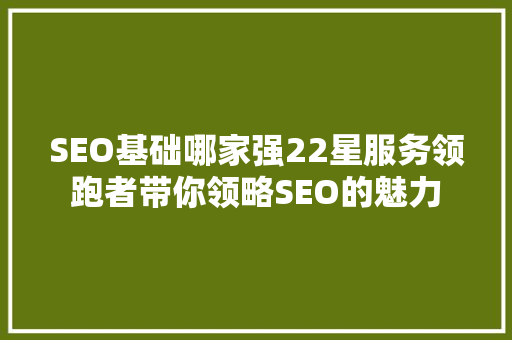 SEO基础哪家强22星服务领跑者带你领略SEO的魅力