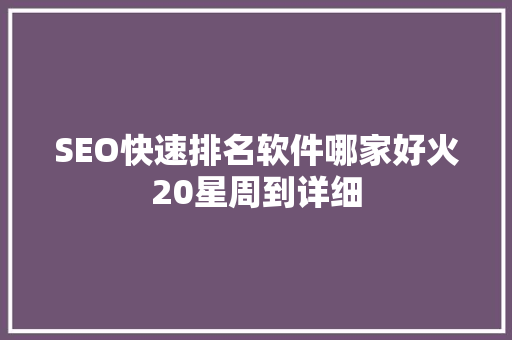 SEO快速排名软件哪家好火20星周到详细